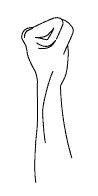Exer004