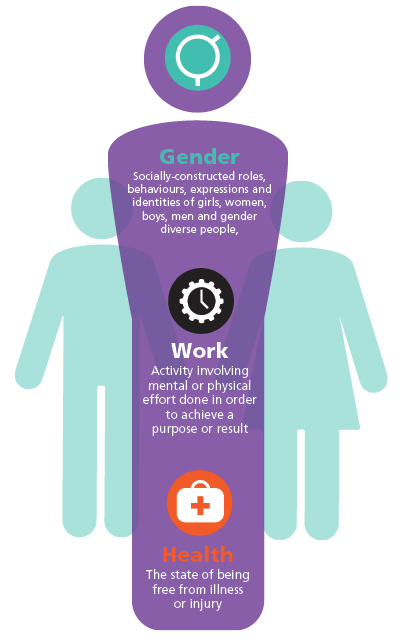 Gender graph description