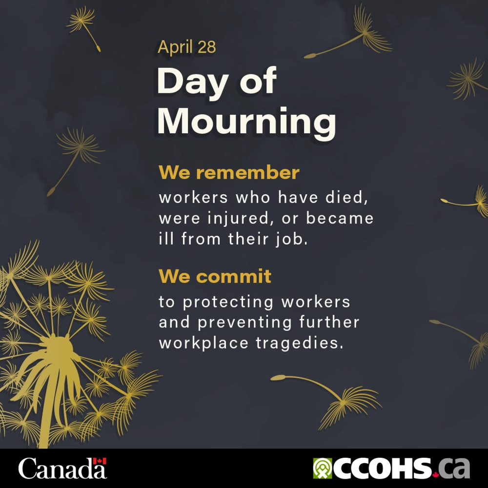 Day of Mourning image with dandelion background