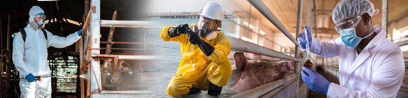 Health and safety report