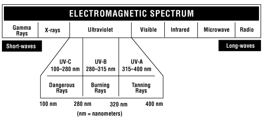 Electromagnetic Waves Frequency Chart