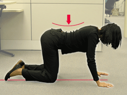 Figure 1C - Exhale and stretch your back downwards