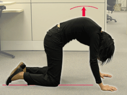 Figure 4B - Exhale and stretch your back by arching it upwards