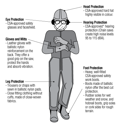 CCOHS: Chainsaws - Personal Protective Equipment and Clothing