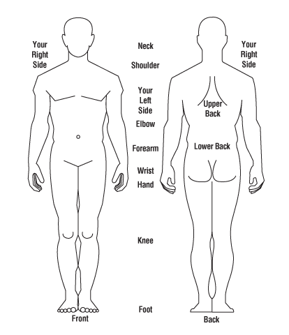 Diagram of body