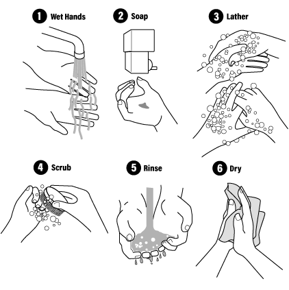 Proper hand washing