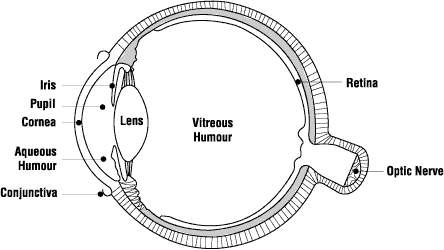 Different Types of UV Rays  About Types & Uses of UV Rays