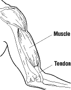 Tensons without sheaths