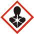 Health Hazard pictogram