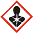 health hazard pictogram