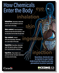 How Chemicals Enter the Body