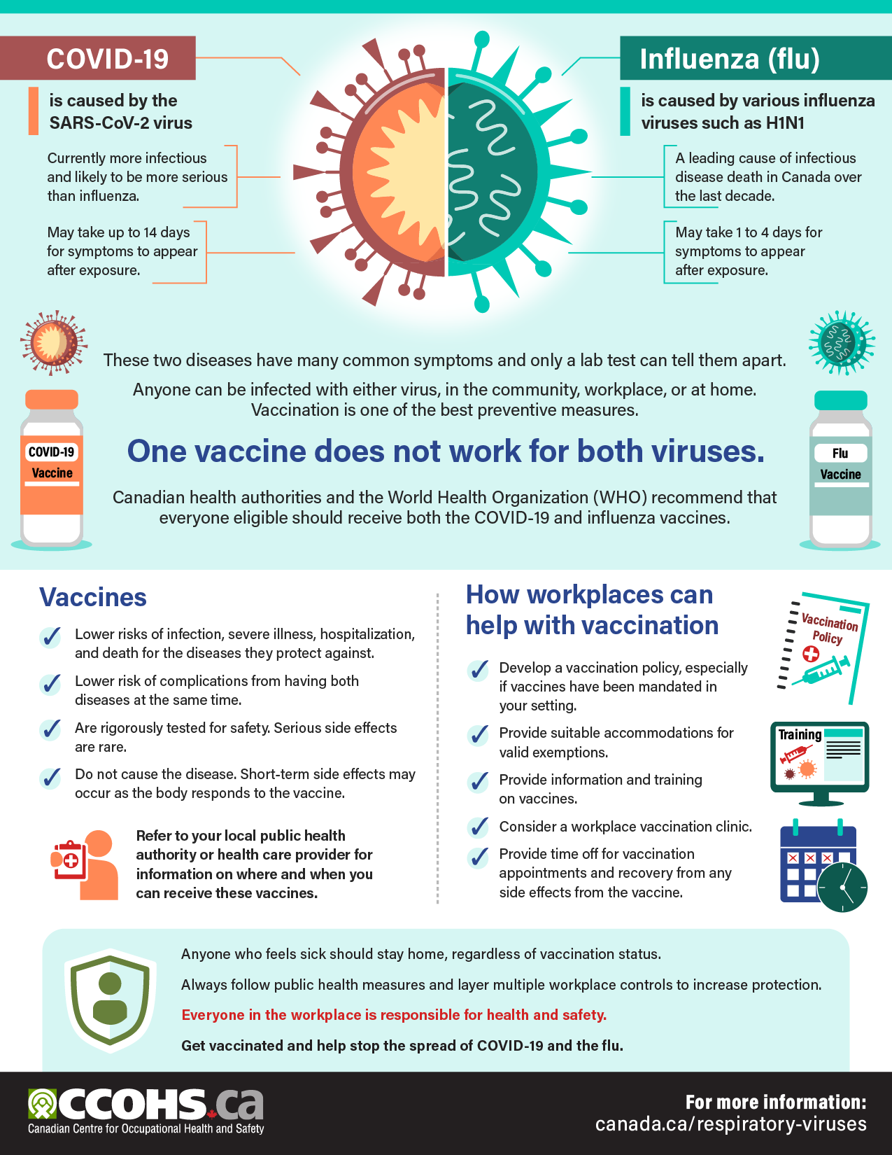 Infographic: COVID-19 and the Flu