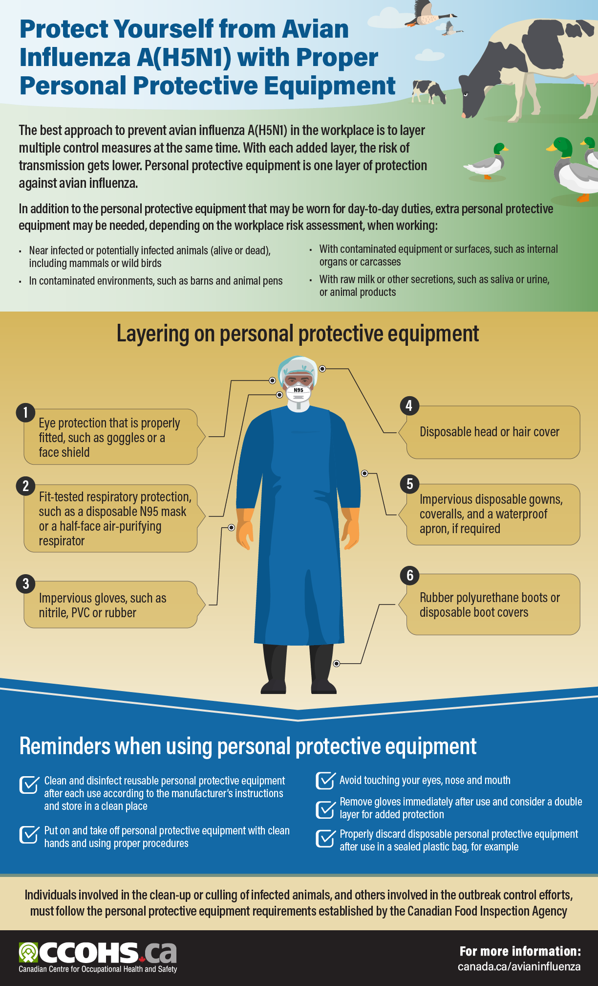 Infographic: Protect Yourself from Avian Influenza A(H5N1) with Proper Personal Protective Equipment
