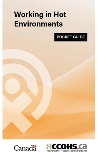 Thumbnail of the publication's cover