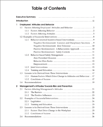 Snapshot of the publication's Table of Contents