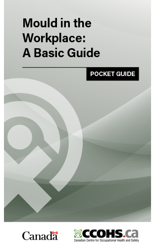 Thumbnail of the publication's cover
